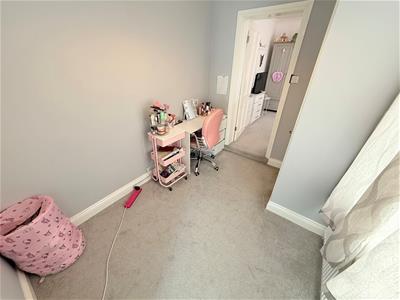 Picture 15